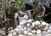 narcotraffico-guerra